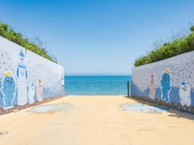 패키지로 떠난 백령도, 낭비 없는 섬 여행법