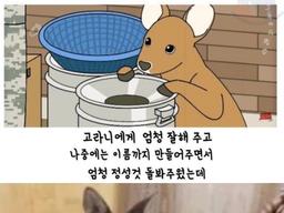 은혜갚은 <strong>고라니</strong>