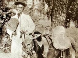 한반도에서 정말 소리 소문없이 멸종하게 된 <strong>동물</strong>....