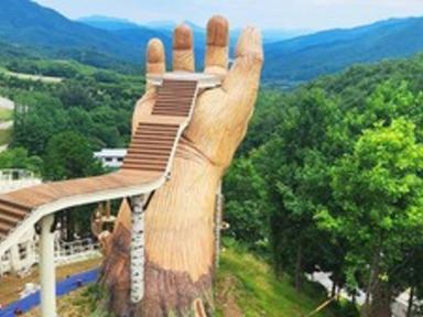 "베트남까지 갈 필요 없어요"... 한국의 바나힐로 불리는 해발 750m 숲속 산책 명소