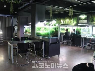 물멍 때리며 티타임을…아쿠아 갤러리 '비워터'