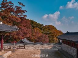 "12km 성곽을 따라 단풍길이 생겼어요" 눈으로 담기에도 벅찬 <strong>가을</strong> 단풍 명소