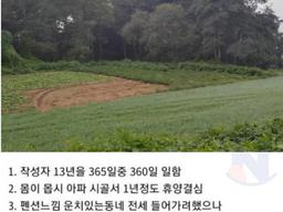 시골 <strong>귀촌</strong>한지 1년만에 뼈저리게 후회하는 청년,,,