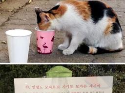 과태료 처분에 <strong>눈</strong> 돌아버린 캣맘의 경고문