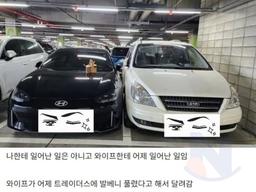 살다살다 이런 주차진상은 처음<strong>봄</strong>
