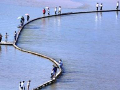 "장대 하나 믿고 걷는 다리라고요?"… 폭 30cm·길이 150m, 입장료까지 무료인 힐링 명소