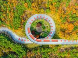 “360도 회전하는 명품 <strong>단풍</strong> 드라이브 코스” 국내 단 하나뿐인 충남 청양 여행지