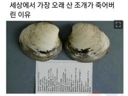세상에서 가장 오래 <strong>산</strong> 조개가 죽어버린 이유...