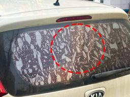 "그냥 내버려두면 절대 안 돼"... 틴팅 필름 수명 깎아 먹는 운전자들의 치명적인 '습관'