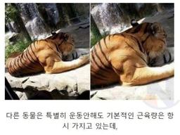 인간이 가진 <strong>개</strong>쩌는 S급 능력...ㄷㄷㄷ