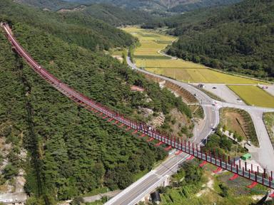 가을에 가면 더 짜릿하다… 걸을 때마다 ‘심장이 쿵’하는 출렁다리 명소 3곳
