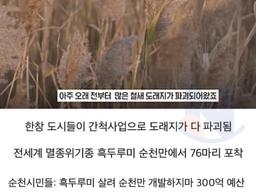 좋은일을 해서 축복받은 듯한 <strong>도시</strong>