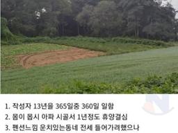 시골 <strong>귀촌</strong>한지 1년만에 뼈저리게 후회하는 청년,,,