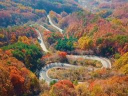 "단풍 절정기에는 차량이 3배나 많아져요" <strong>가을</strong> 단풍 드라이브 코스로 점점 알려지는 도마령