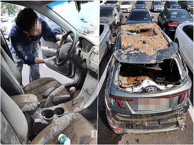 “무사고라더니 침수차 , 당장 부숴버리고 싶다”…싼맛에 중고차 사지 마라?