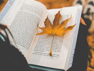 가을 타는 친구에게 선물하면 좋은 ‘감성 폭발’ 가을 시집 6권 추천