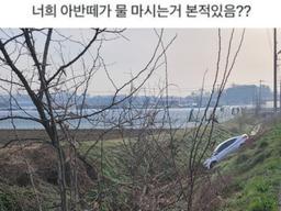 너네 아반떼가 물마시는거 봤어?