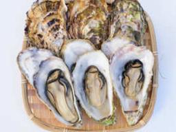 “외국에선 금값인데 한국에선 넘쳐요”…11월부터 영양 최고조 ‘이 <strong>식품</strong>’