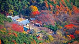 “여긴 그냥 ‘한국판 교토’입니다”… 단풍과 사찰의 완벽 조합 만나는 무료 가을 명소