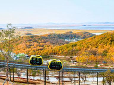 "화담숲보다 한적하고 예약도 필요 없어요"… 모노레일·전망대 함께 즐기는 가을 명소