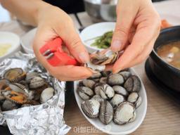 "드디어 꼬막 제철이 돌아왔습니다" 꼬막 제철 시기에 국내에서 가장 인기 있는 여행지