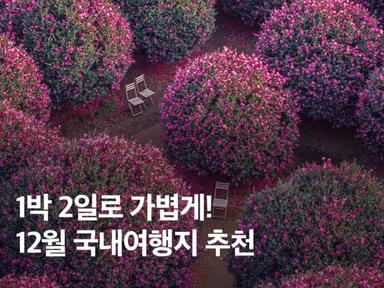 12월 국내여행지 추천 1박2일로 가볍게! 겨울여행지 BEST 4