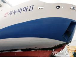 '무인도 좌초' 여객선 항해사 "휴대전화 보다 사고 냈다"