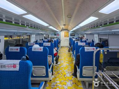 수능 끝, 여행 시작! 수험생을 위한 춘천 뚜벅이 당일치기 코스 :: 춘천 죽림동성당, 춘천 명동 닭갈비 골목, 춘천 삼악산 호수케이블카, 홈컴홈, 304아일랜드, 온이