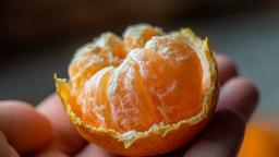 "겨울철 필수 팁" 귤 신맛 없애는 법, 귤 보관법 정리