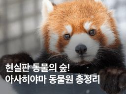 홋카이도 <strong>여행</strong> 아사히야마 동물원! 가는 법, 볼거리, 예약 총정리