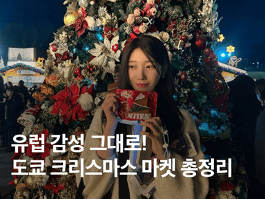 2025 도쿄 크리스마스 마켓 정보 총정리! 메이지 신궁, 시바공원 입장권 일정 머그컵