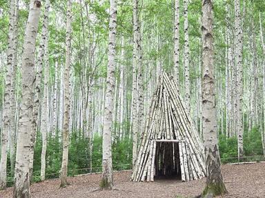 강원도 인제 여행 원대리 자작나무숲 주변 가볼만한곳 추천 :: 인제 자작나무 숲, 자작나무숲의투데이, 박인환문학관, 책방 나무야