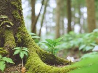 “그냥 쉬고 싶어서요” 혼자·커플·가족 모두에게 필요한 숲캉스 4선