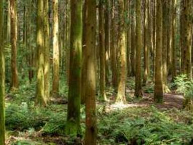 “내 생각을 확실하게 결정하고 싶을 때” 남자 혼자 여행하기 좋은 곳 국내 Best 4