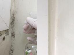 락스 안씁니다! 세탁실 벽<strong>곰팡이</strong> 싹 사라짐.