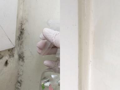 락스 안씁니다! 세탁실 벽곰팡이 싹 사라짐.