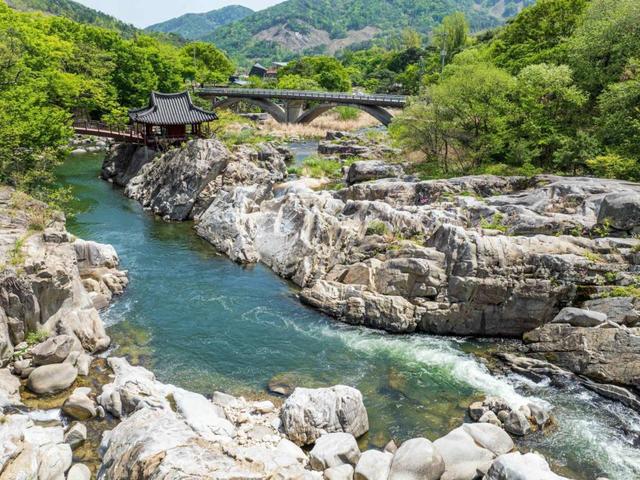 “국내1호” 국토부도 반해버린 최초 대한민국 관광도로