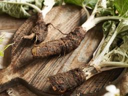 여름보다 영양 3배 높다...1월 장보러 가면 꼭 담아야 할 '뿌리채소 4가지'