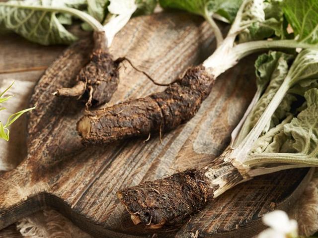 여름보다 영양 3배 높다...1월 장보러 가면 꼭 담아야 할 '뿌리채소 4가지'