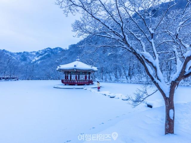 "조선시대 전통 겨울 느낌입니다" 가을 단풍 명소로 유명하지만 겨울 설경도 아름다운 우화정
