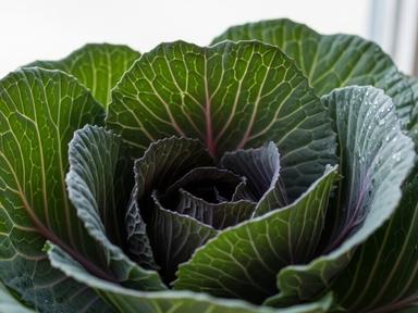 "뱃살·독소 다 빠진다" 1월에 꼭 먹어야 할 채소 3위 당근, 2위 비트, 1위는?