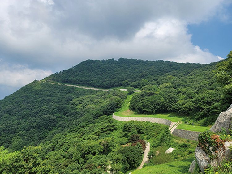 숨겨진 명품 숲길 5곳,<br>산림청이 뽑은 힐링 여행지