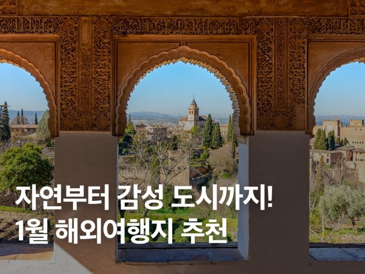 1월은 춥다고요? 1월에<br>가야 진짜인 해외 여행지 5