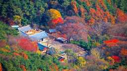 “여긴 그냥 ‘한국판 교토’입니다”… 단풍과 사찰의 완벽 조합 만나는 무료 가을 명소