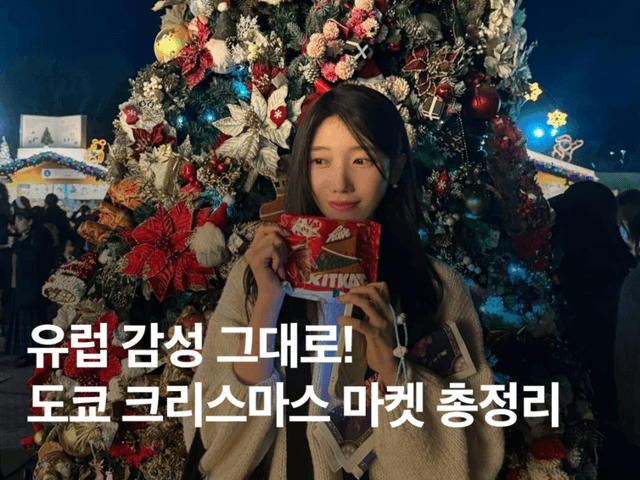 2025 도쿄 크리스마스 마켓 정보 총정리! 메이지 신궁, 시바공원 입장권 일정 머그컵